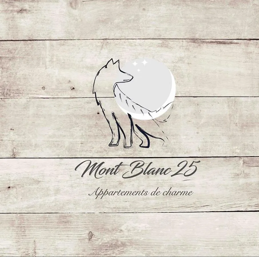 Mont Blanc 25, Vue Mont Blanc, Balcon, Parking Apartment Chamonix 0*,